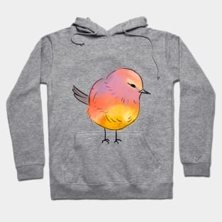 Rainbow Bird Hoodie